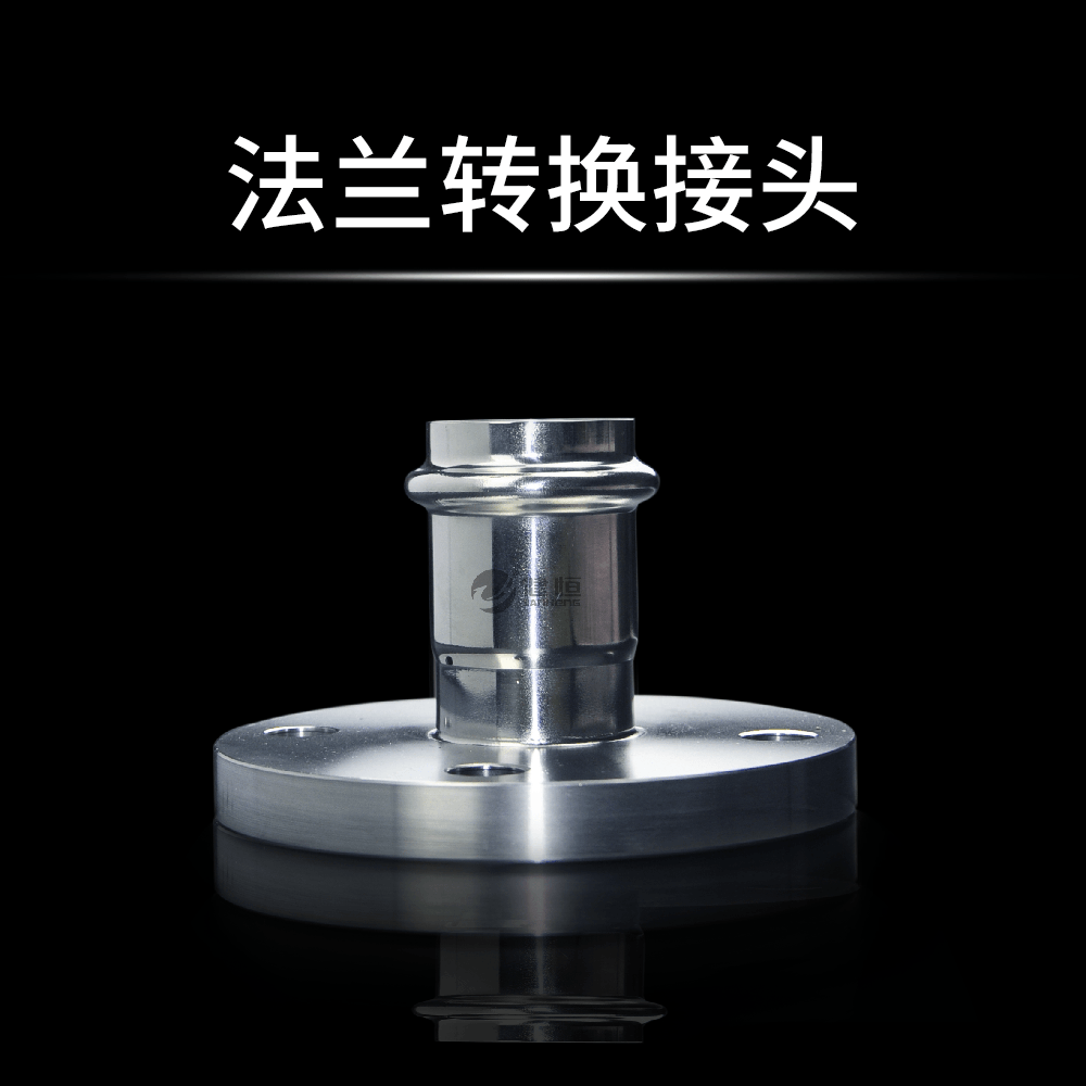 法蘭轉(zhuǎn)換接頭